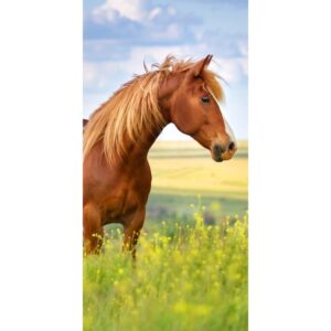 CARBOTEX Osuška Kůň Hnědák, 70 x 140 cm