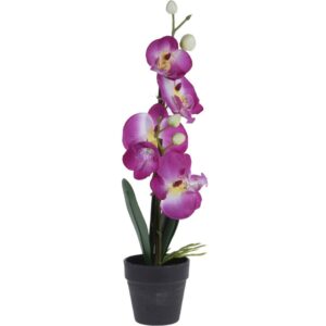 Orchidej v květináči růžová, 38 cm