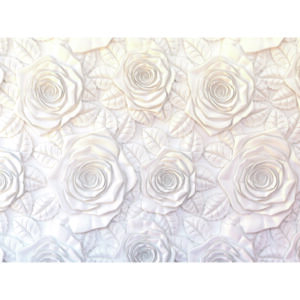 AG Art Fototapeta XXL 3D Roses 360 x 270 cm, 4 díly