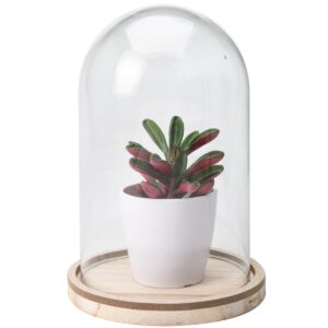 Umělá rostlina ve skle Wilma, 19 cm