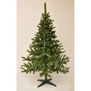 Vánoční stromek Smrk kanadský, 210 cm