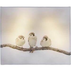LED Obraz na plátně Animal and snow Bird, 20 x 25 cm